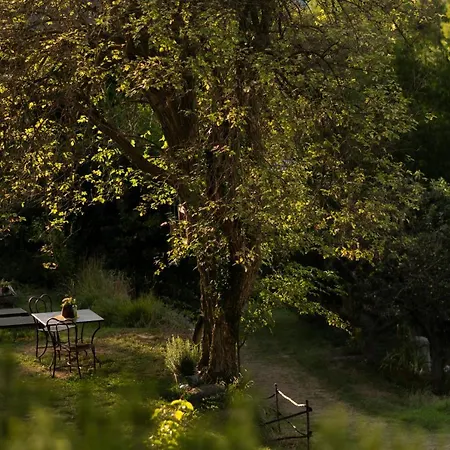 Gaia's Spheres Luxury tent *