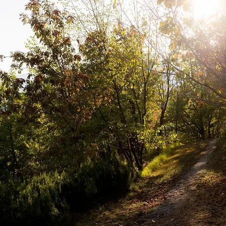 Luxury tent Gaia's Spheres Gorzegno