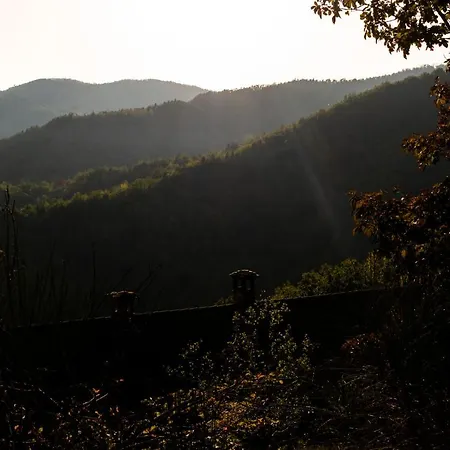 Gaia's Spheres Luxury tent